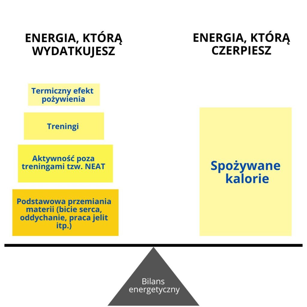 Bilans energetyczny przedstawiony w formie dwóch kolumn. Pierwsza energia którą wydajesz (termiczny efekt pożywienia, treningi, aktywność poza treningami, podstawowa przemiana energii, druga energia którą czerpiesz (spożywane kalorie).