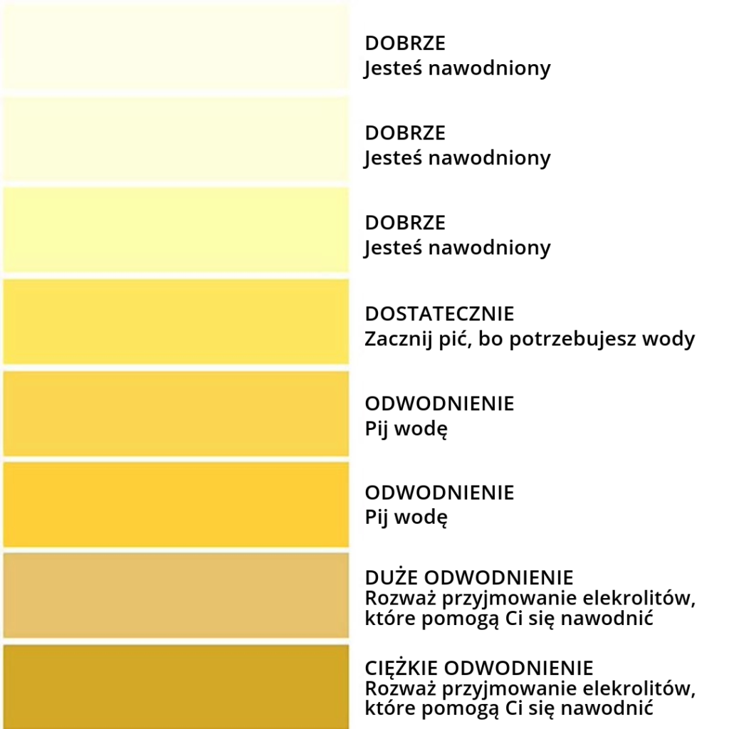 Ocena nawodnienia organizmu w formie piramidy kolorów od jasnego (dobrze nawodniony) do ciemnego (ciężkie odwodnienie). 